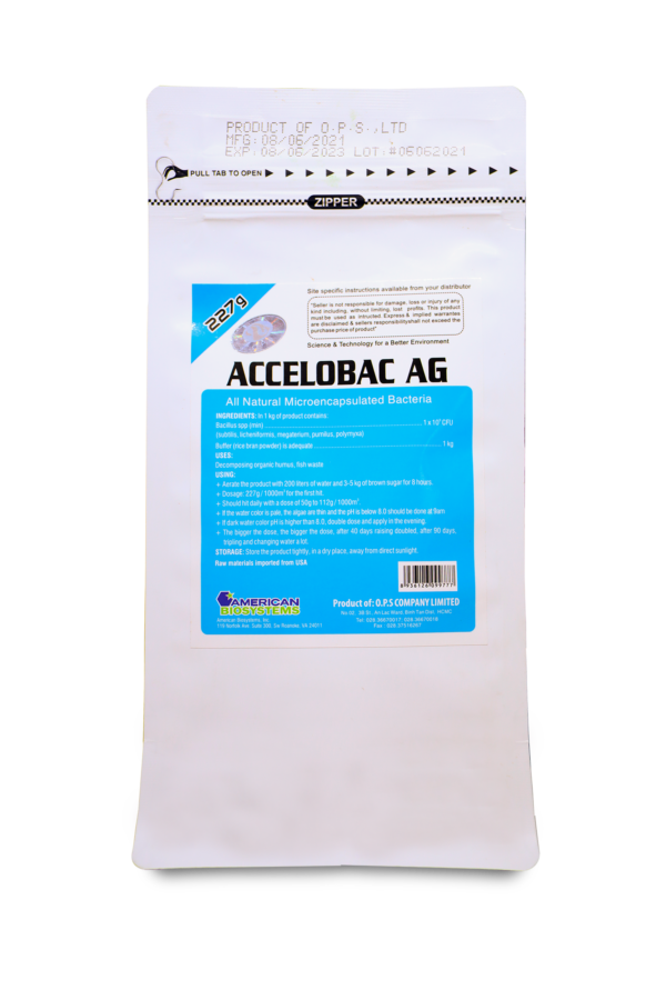 Accelobac AG