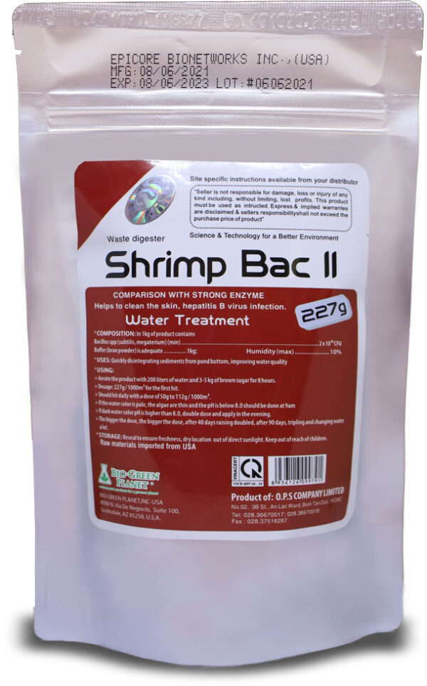 Shrimp BAC II Đáy