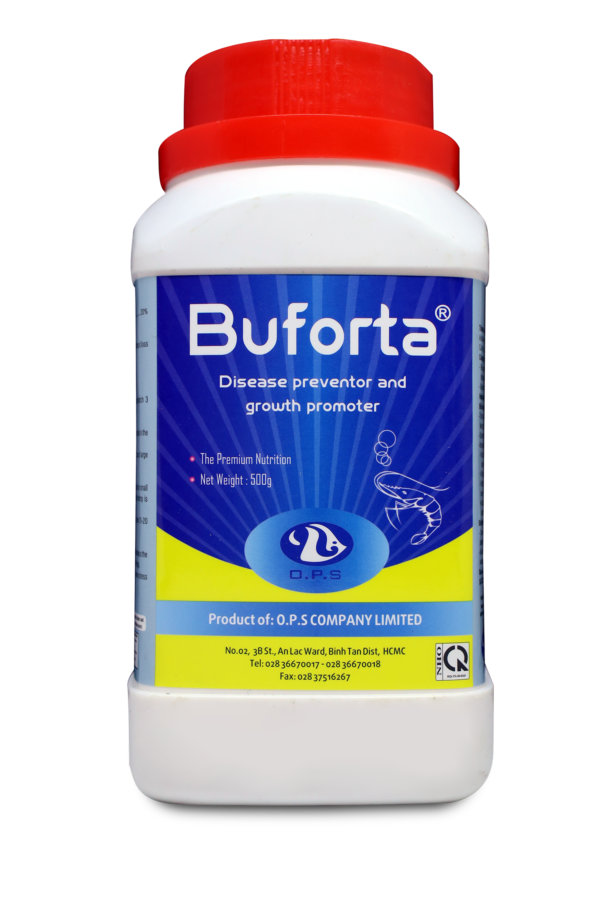 Buforta